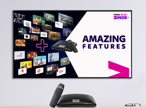 entertainment-description